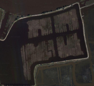 Newberry Plantation Satellite Map 1