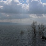 IMG_5852-SS